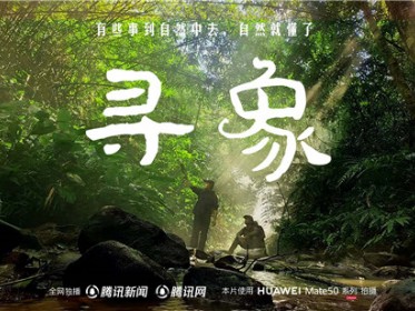 去雨林深处，听大象长吟，自然纪录片《寻象》正式上线！